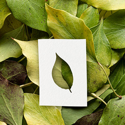 A paper cut out of a leaf, sits atop a pile of real leaves.